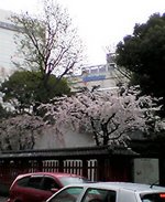 1112422781-PU3sh0040.jpg
